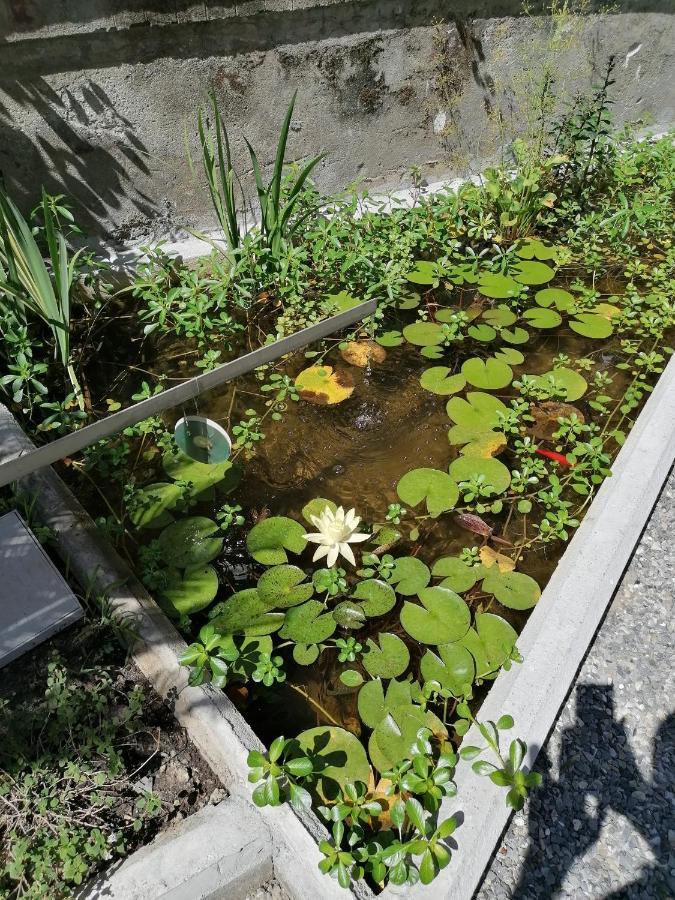 Aparthotel Il Giardino Di Elettra - Freeparking à Gênes Extérieur photo
